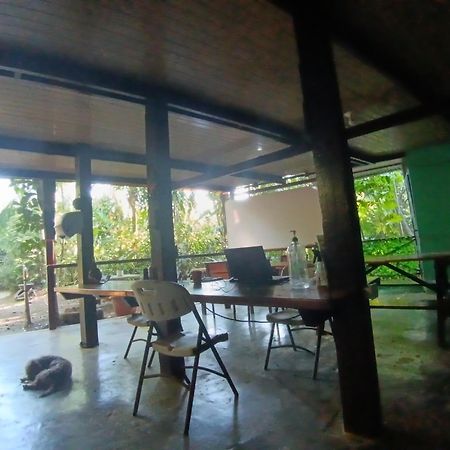 Nativos Corcovado Cabins Драке Экстерьер фото